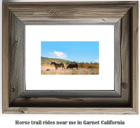 horse trail rides near me in Garnet, California